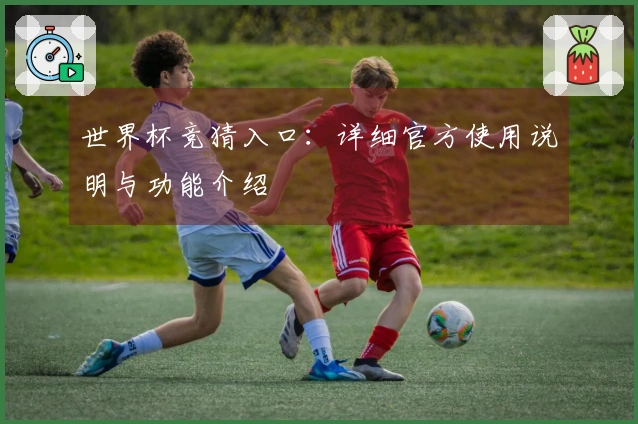 世界杯竞猜入口：详细官方使用说明与功能介绍