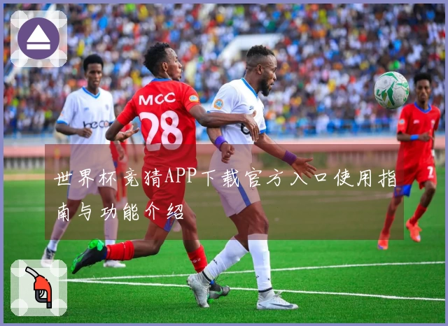 世界杯竞猜APP下载官方入口使用指南与功能介绍