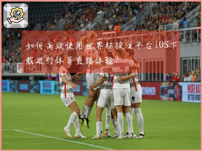 如何高效使用世界杯投注平台iOS下载进行体育直播体验？