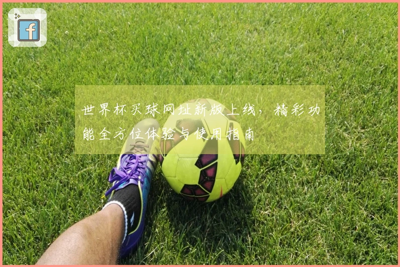 世界杯买球网址新版上线，精彩功能全方位体验与使用指南