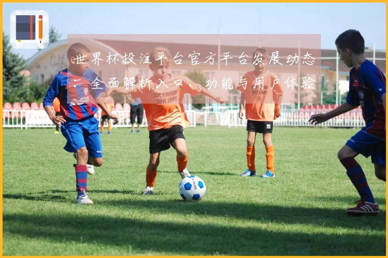 世界杯投注平台官方平台发展动态：全面解析入口、功能与用户体验