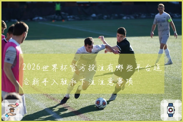 2026世界杯官方投注有哪些平台适合新手入驻和下注注意事项