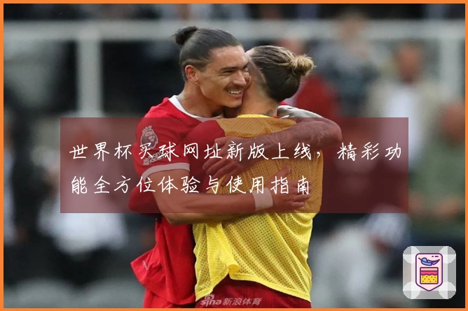 世界杯买球网址新版上线，精彩功能全方位体验与使用指南