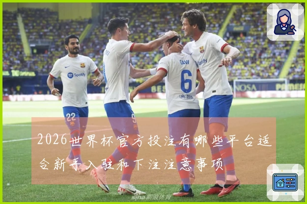 2026世界杯官方投注有哪些平台适合新手入驻和下注注意事项