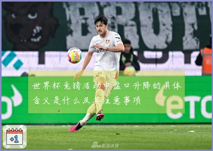 世界杯竞猜活动中盘口升降的具体含义是什么及其注意事项