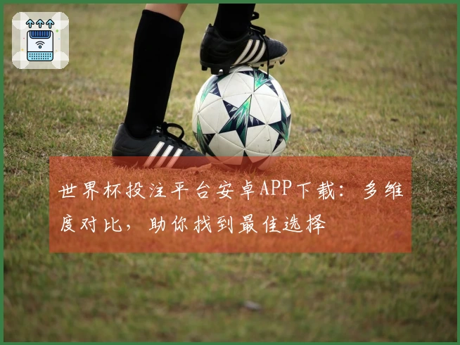 世界杯投注平台安卓APP下载：多维度对比，助你找到最佳选择
