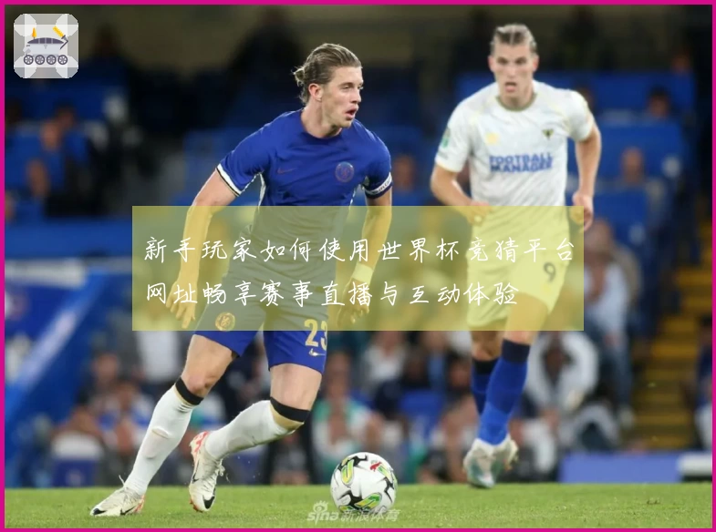 新手玩家如何使用世界杯竞猜平台网址畅享赛事直播与互动体验